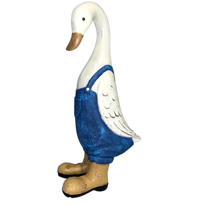 Duck29cm